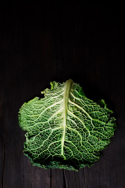 One Single Savoy Cabbage leaf