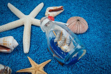 arka plan olarak kum üzerinde deniz kabukları