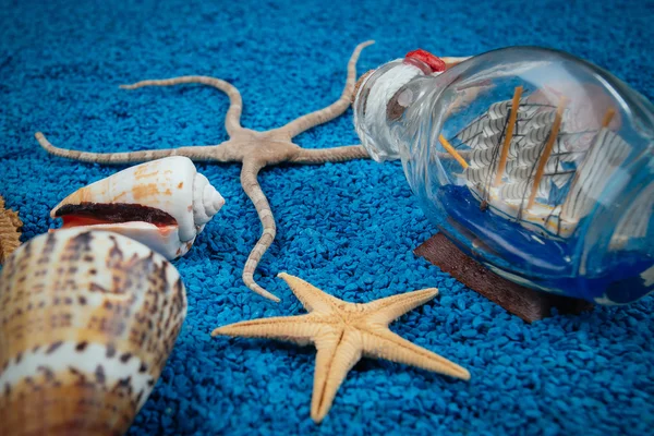 Conchiglie di mare sulla sabbia come sfondo — Foto Stock