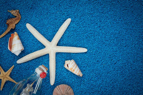 Sea shells on sand as background — Stock Photo, Image