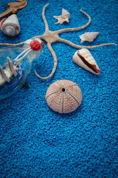 Морские раковины на песке в качестве фона — стоковое фото