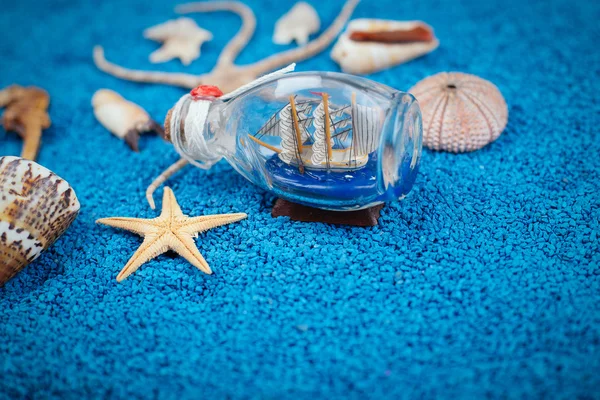 Sea shells on sand as background — Stock Photo, Image