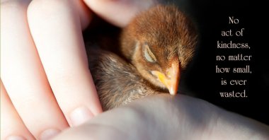 İlham verici bir alıntı..