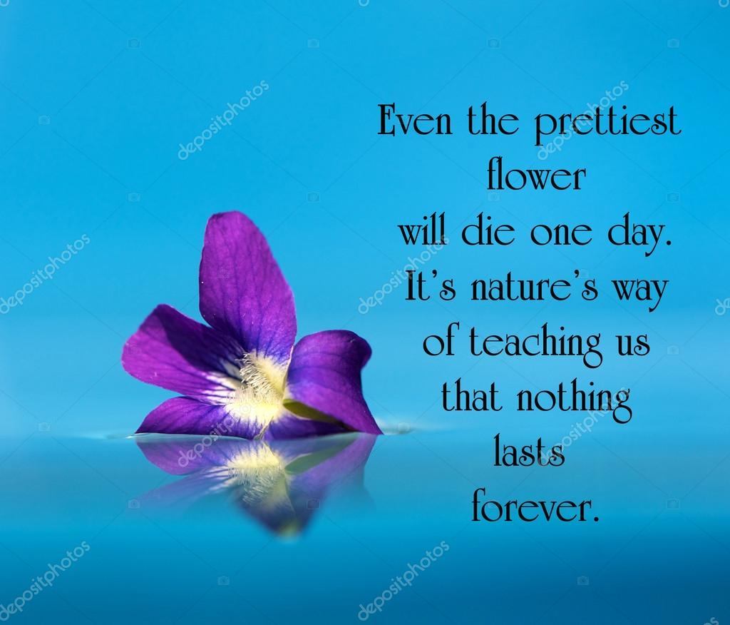 Inspirational quote. — Stock Photo © kellyplz 53251415