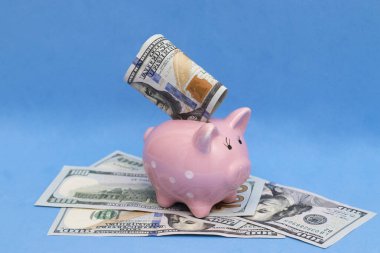 Domuz kumbarası kağıt dolarların üzerinde duruyor. Tasarruf, mali sorunlar.