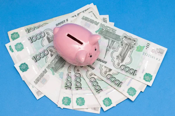 Pig piggy bank stands on paper banknotes, Russian rubles. Saving money, financial problems.