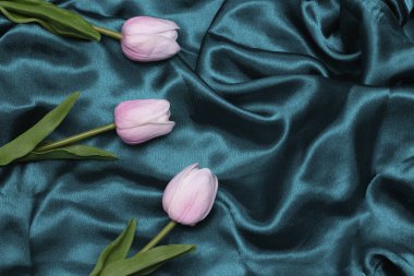 Deniz yeşili ipek kumaşta pembe laleler. Metin için yeri olan tasarım için arkaplan.