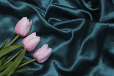 Deniz yeşili ipek kumaşta pembe laleler. Metin için yeri olan tasarım için arkaplan.