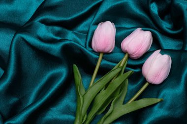 Deniz yeşili ipek kumaşta pembe laleler. Metin için yeri olan tasarım için arkaplan.