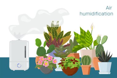 İçerideki bitkilerin yanında hava nemlendirici var. Evde rahat bir iklim için ev aletleri. Vektör