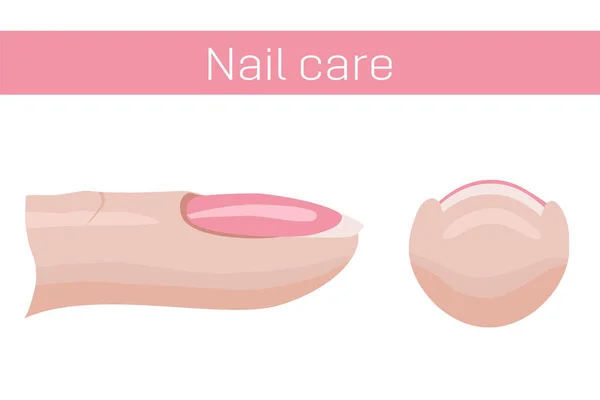 Nagelpflege Finger Mit Nagel Seiten Und Frontansicht Illustration Für Den — Stockvektor