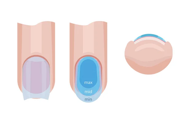 Cura Delle Unghie Distribuzione Della Base Sull Unghia Illustrazione Manuale — Vettoriale Stock