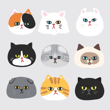 Kedi yüzü koleksiyonu: Vektör İllüstrasyonu