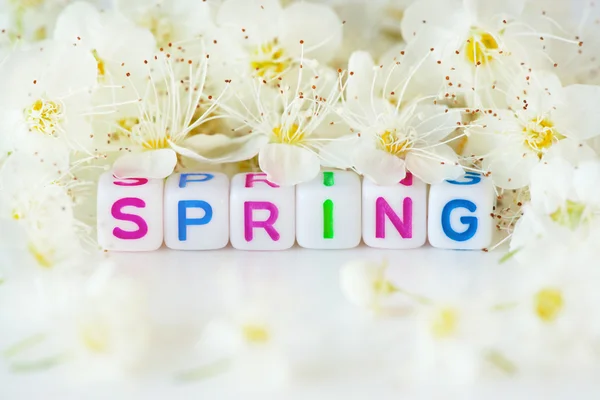 The word spring with flowers — Stock Photo, Image