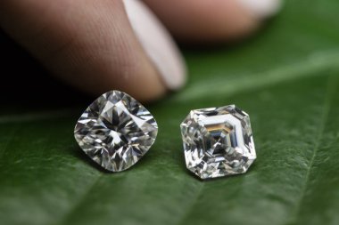 Yeşil yapraklı iki elmas