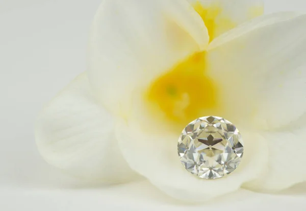 Diamante Lusso Bel Fiore — Foto Stock