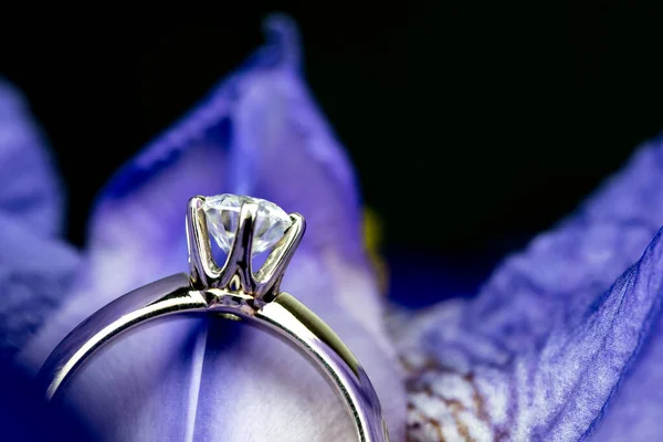 Blue Wedding Rings Stones Flower — Stock Photo, Image