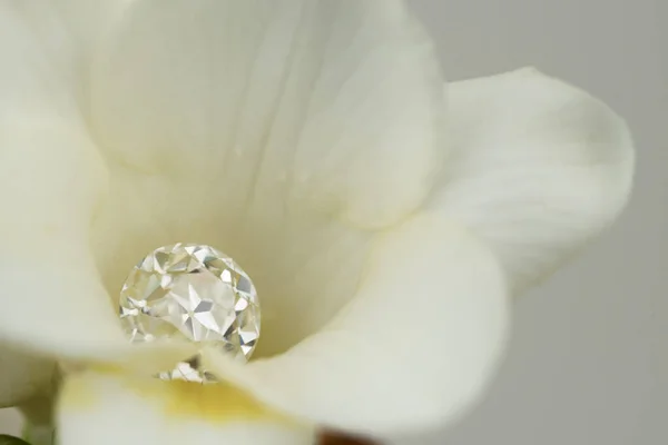 Роскошный Бриллиант Красивом Цветке — стоковое фото