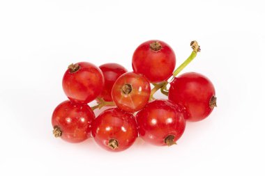 Beyaz arkaplanda kırmızı frenk üzümü izole edildi