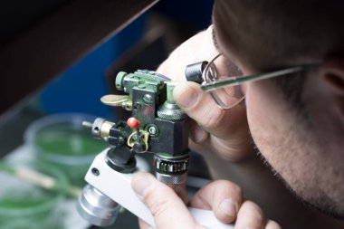 Adam pırlantaya bakıyor.