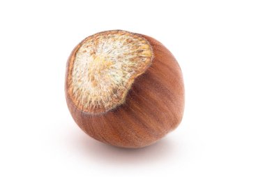 Fındıklar beyaz arkaplanda izole