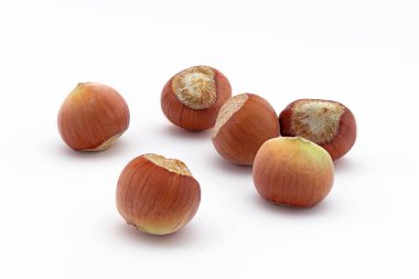 Fındıklar beyaz arkaplanda izole