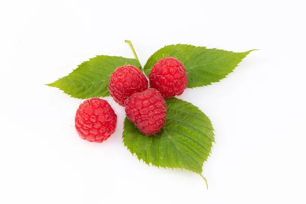 Ripe Raspberries Leaves White Background — Stock Photo, Image