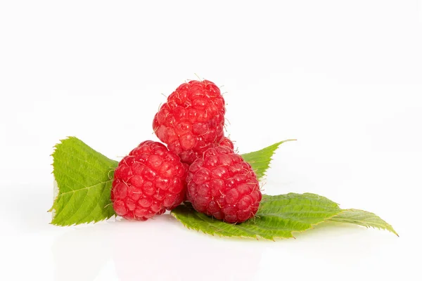 Fresh Raspberries White Background — Stock Photo, Image