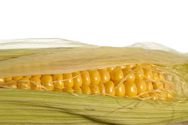 Reifer Mais Auf Weißem Hintergrund — Stockfoto