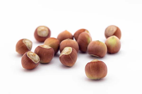 Hazelnuts Изолированы Белом Фоне — стоковое фото