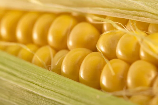 Yellow Corn White Background — Stock Photo, Image