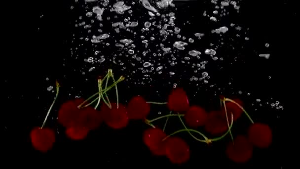 Fresh Cherries Falling Water — Stock Video