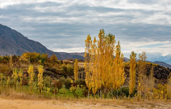 Höst Landskap Med Träd Och Berg — Stockfoto