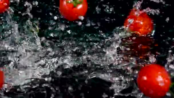 Tomates Caindo Movimento Lento Água — Vídeo de Stock