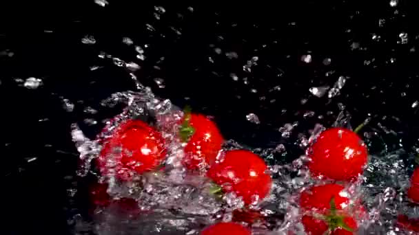 Kerstomaten Water Zwarte Achtergrond Voedselconcept Kopieerruimte — Stockvideo