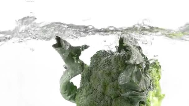 Cavolo Broccolo Che Cade Nell Acqua — Video Stock