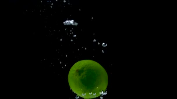 Φρέσκο Πράσινο Lime Μαύρο Φόντο — Αρχείο Βίντεο