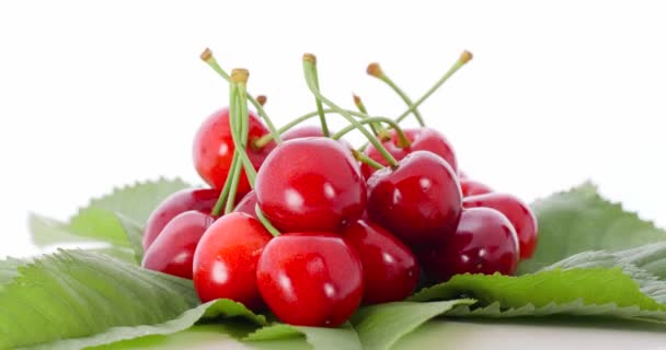 Fresh Red Cherries Background Close — Stock Video
