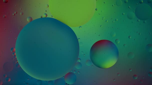 色鮮やかな泡が動く抽象的な背景 — ストック動画