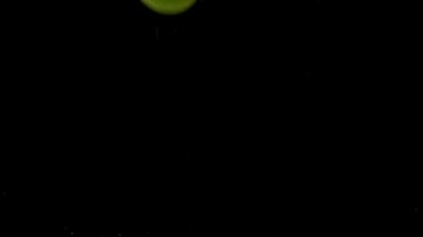 Siyah arkaplanda taze yeşil limon