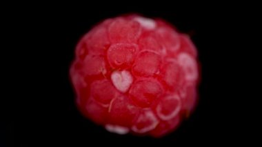 Dondurulmuş Taze Ahududu Makro Videosu 