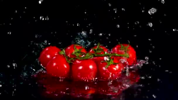 Tomat Ceri Dan Air Latar Belakang Hitam Konsep Makanan Menyalin — Stok Video