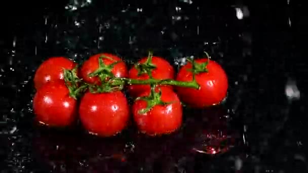Pomidory Wiśniowe Woda Czarnym Tle Koncepcja Żywności Przestrzeń Kopiowania — Wideo stockowe