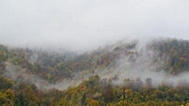 Sonbahar ormanındaki eski ahşap bina.