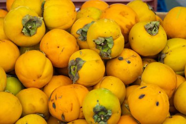 Yeşil saplı bir yığın çikolata hurması. Portakallar olgunlaştı ve yenmeye hazır. Yığının içi portakal dolu ve hepsi farklı boyutlarda.