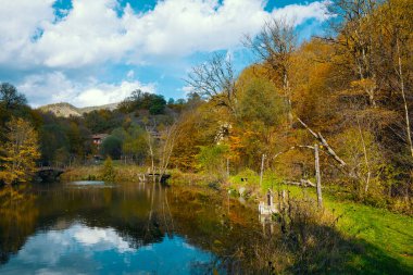 Arka planda bulutlu bir gökyüzü olan, ağaçlarla çevrili, sakin bir göl manzarası. Su sakin ve durgun, yukarıdaki ağaçları ve gökyüzünü yansıtıyor. Ağaçlar sonbaharın çeşitli aşamalarında.