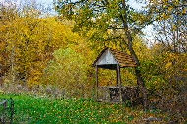 Kırsal bir ahşap pavyon sonbahar yaprakları tarlasında oturur. Çadır ağaçlarla çevrili ve oturmak ve manzaranın tadını çıkarmak için huzurlu bir yer.