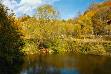 Arka planda ağaç olan bir gölet. Su sakin ve gökyüzü berrak.