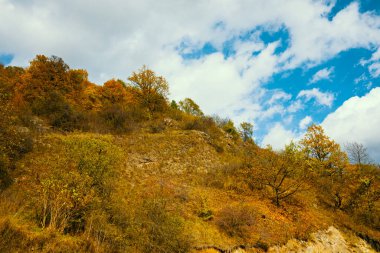 Arka planda mavi gökyüzü olan ağaçlarla kaplı bir yamaç. Ağaçlar çoğunlukla kahverengi ve sarıdır ve gökyüzü temizdir.