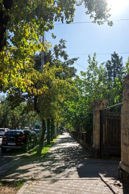 Erivan, Ermenistan 10.16.2025. Her iki tarafında kaldırım ve ağaçlar olan bir sokak. Ağaçlar yeşil ve kaldırım gri. Sokakta park etmiş arabalar ve kaldırımda yürüyen birkaç kişi var.